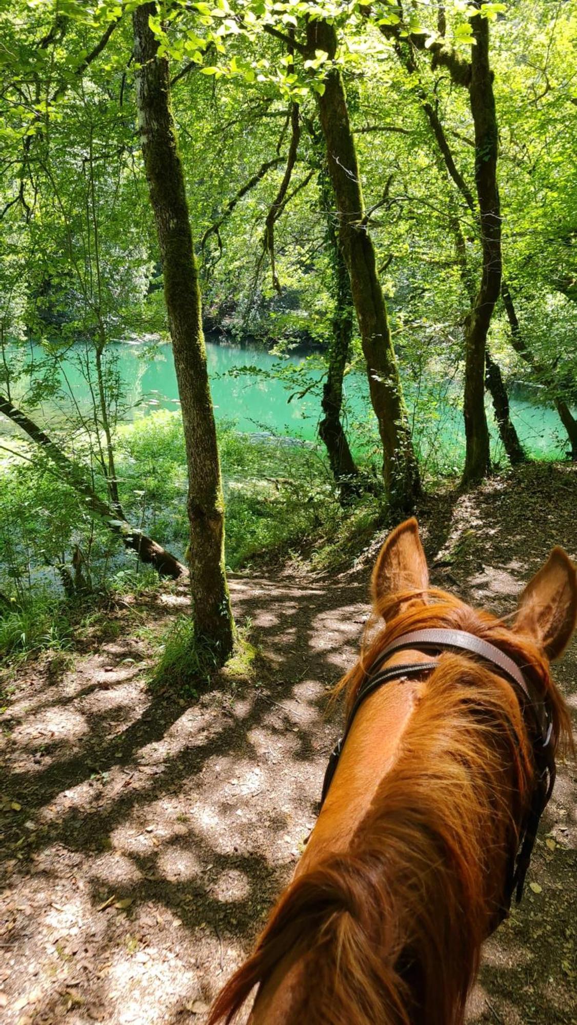Gites Des Deux Vallees La Borieta Du Causse - Rocamadour Luaran gambar